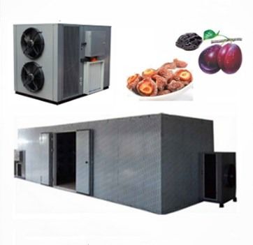 quality  High Efficiency Commercial Food Dehydrator Use Apricot Fruit Heat Pump Drying Machine factory