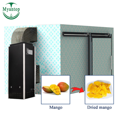 Stainless Steel Body Large Capacity Fruit and Vegetable Dehydrator Mango Heat Pump Machine Durable Industrial Dryer Price