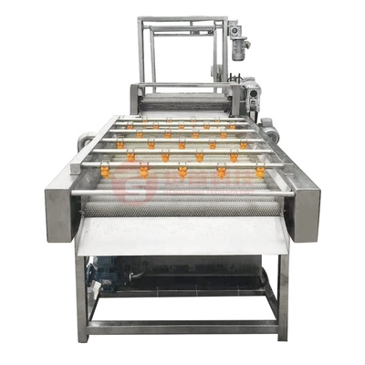 food &amp;amp; Beverage Factory Vegetables Fruits Ginger Carrot Onion Garlic Red Jujube Grape Water Spin Air Bubble Washing Machine Seal